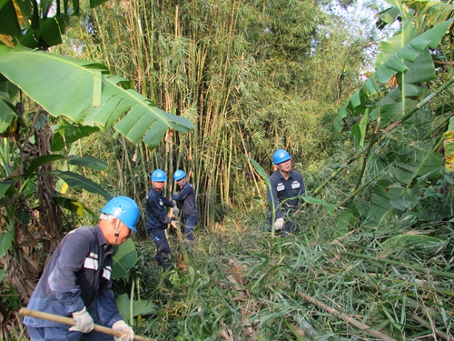 副本19清除杂树的牛江供电人.jpg